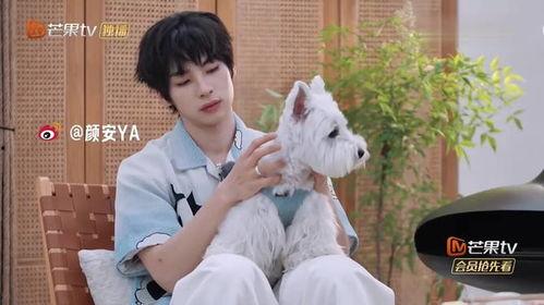 你就宠ta吧,用爱浇灌幸福生活 第1张 你就宠ta吧,用爱浇灌幸福生活 第1张