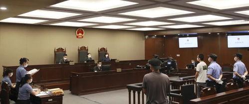 法庭内外,法律与生活的交织