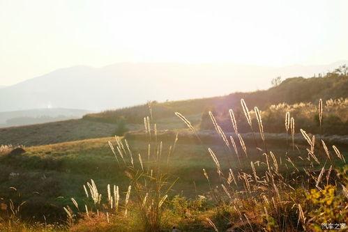大地 Land,探寻自然之美与人文之韵  第3张