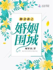 婚姻围城,揭秘爱情与婚姻的边界 第3张 婚姻围城,揭秘爱情与婚姻的边界 第3张