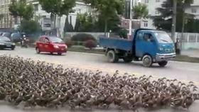 我们经常出没的街道  第3张