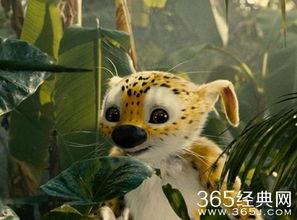 追踪长尾豹马修,一场惊心动魄的野生动物冒险之旅  第2张