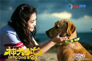 神犬小七 第二季,忠诚守护,勇闯天涯 第2张 神犬小七 第二季,忠诚守护,勇闯天涯 第2张