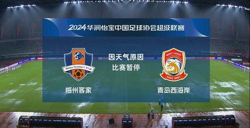 2024赛季中超第24轮:青岛西海岸vs梅州客家 第3张 2024赛季中超第24轮:青岛西海岸vs梅州客家 第3张