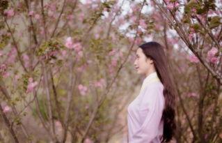 双生花落又逢君,缘起缘灭，君心依旧  第2张