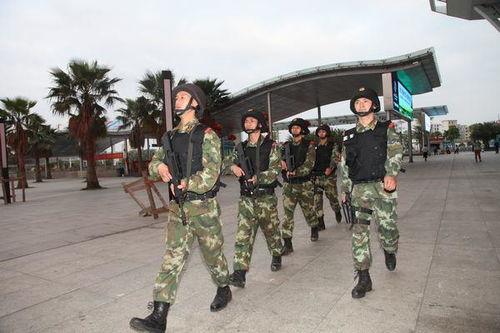 雪豹突击队之特战枪王,巅峰对决，枪林弹雨中的英雄传奇  第3张