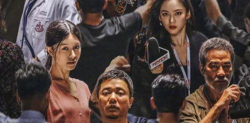 误杀2,真相迷雾下的正义之战  第2张