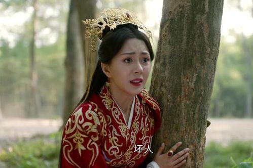 开局奉旨成婚,宫廷爱情的华丽序幕  第2张