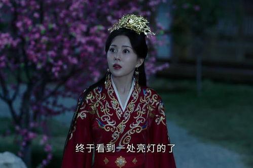 开局奉旨成婚,宫廷爱情的华丽序幕  第3张