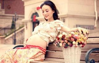 是苏小姐不是谁的妻子  第2张